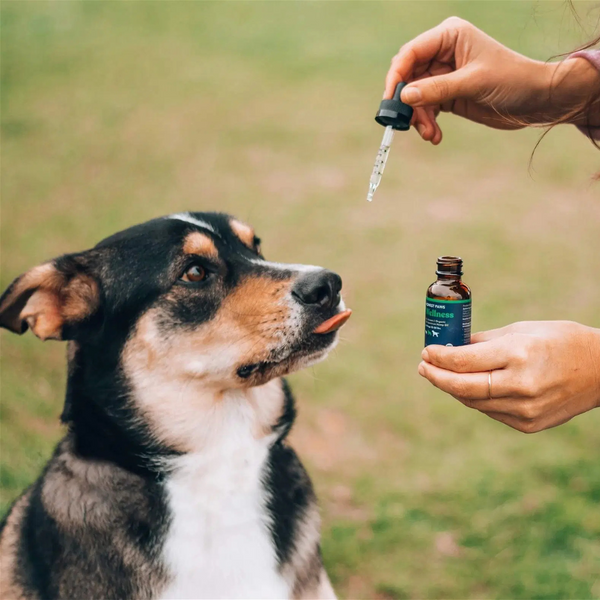 Pet Health And Wellness Products