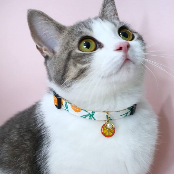Collars