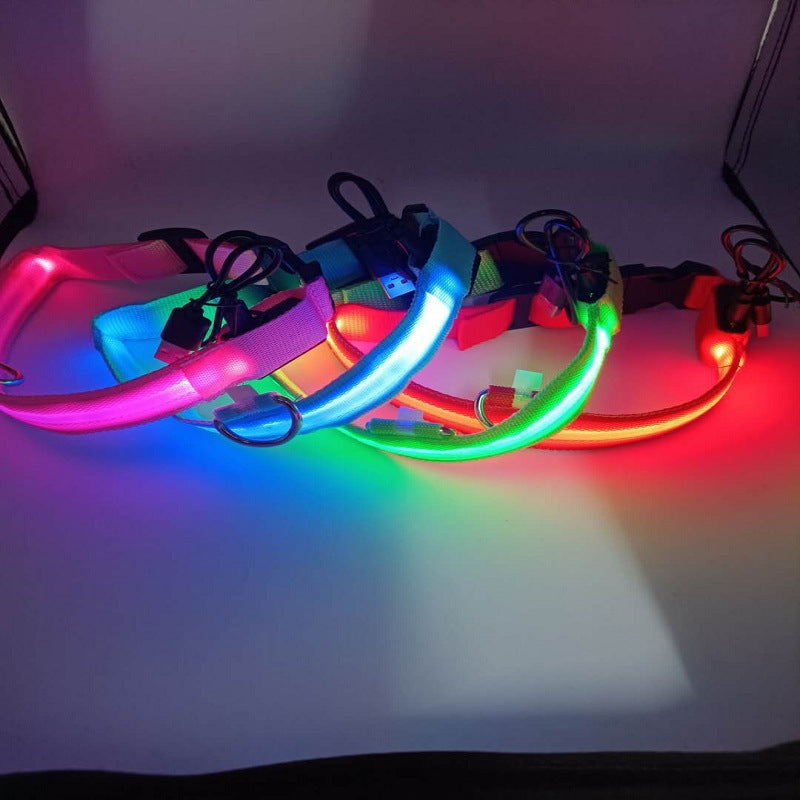 LED Nylon Dog Collar Night Safety Glow