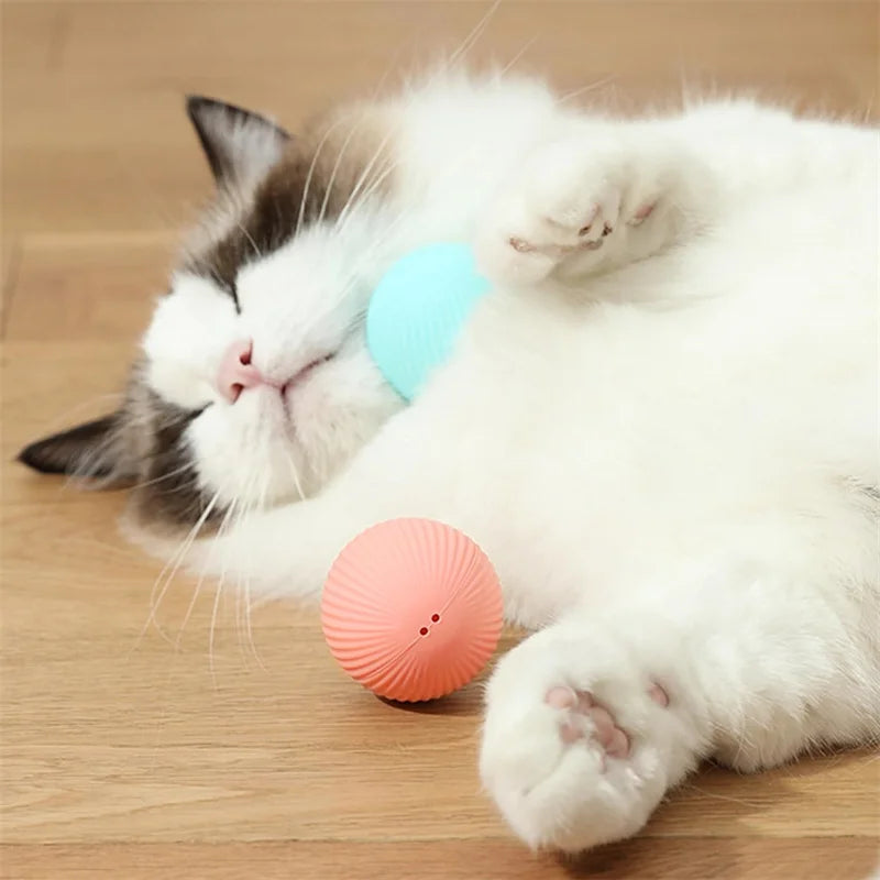 USB Rechargeable Interactive Smart Dog Ball