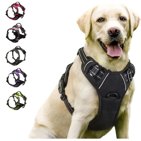 Dog Collar, Harness & Leash Set for Medium & Small Dogs