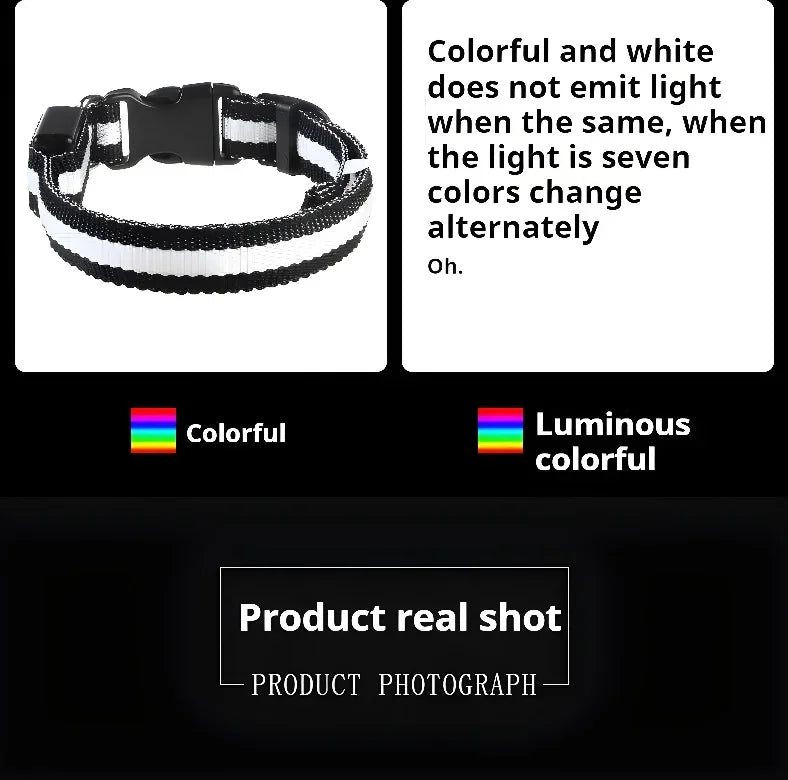 LED Nylon Dog Collar Night Safety Glow