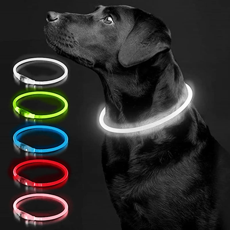 LED Rechargeable Glowing Pet Collar