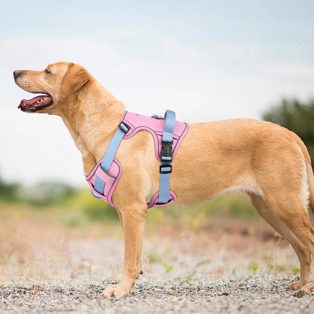 Mesh Breathable Reflective Dog Harness