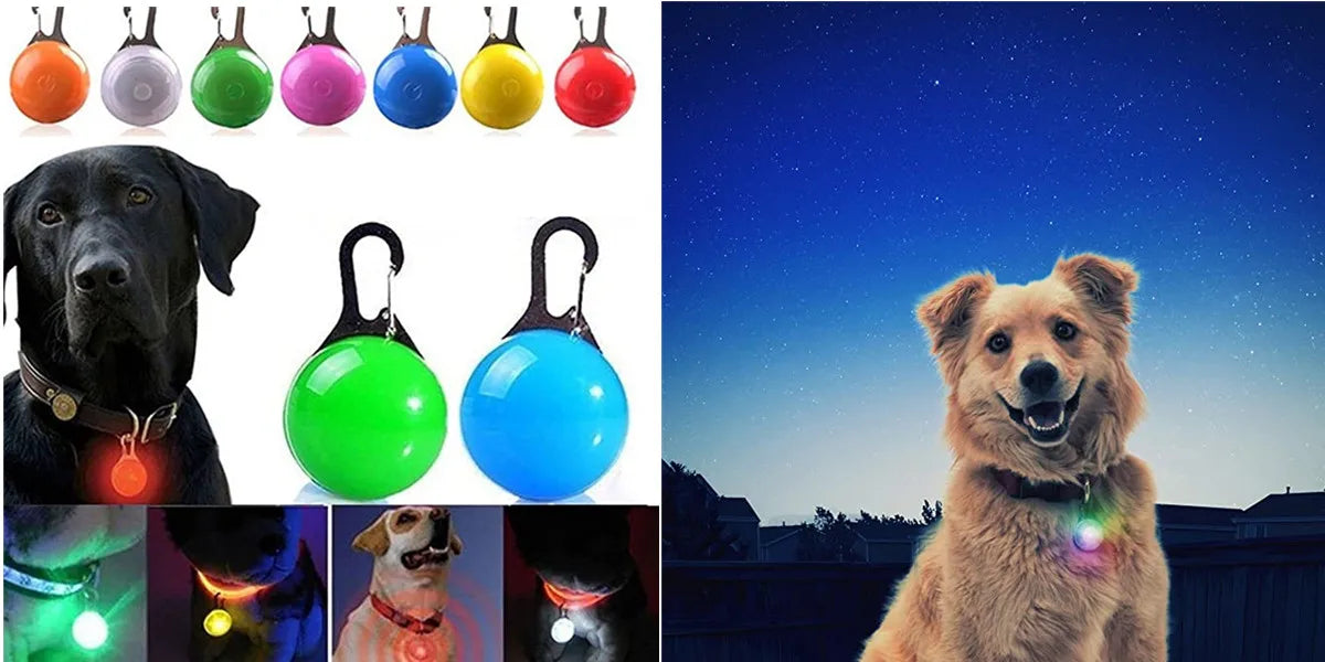 USB Rechargeable LED Pet Safety Collar