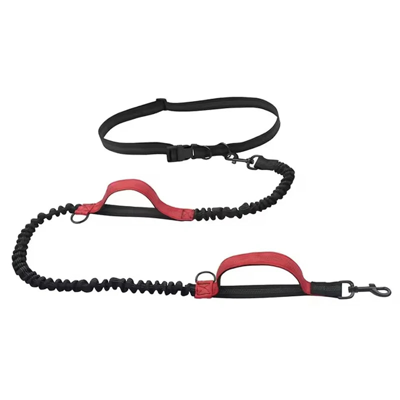 Outdoor Dual Elastic Reflective Dog Leash