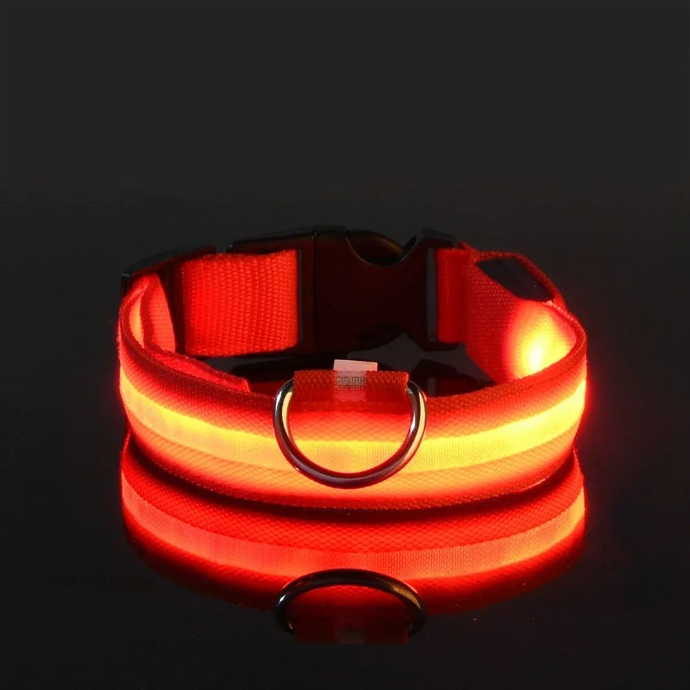 LED Nylon Dog Collar Night Safety Glow