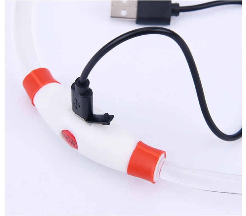 LED Rechargeable Glowing Pet Collar