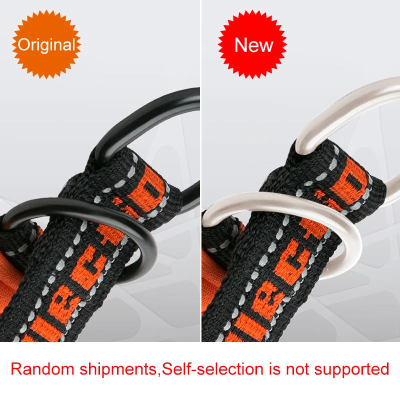 Truelove Neoprene Padded Dog Collar