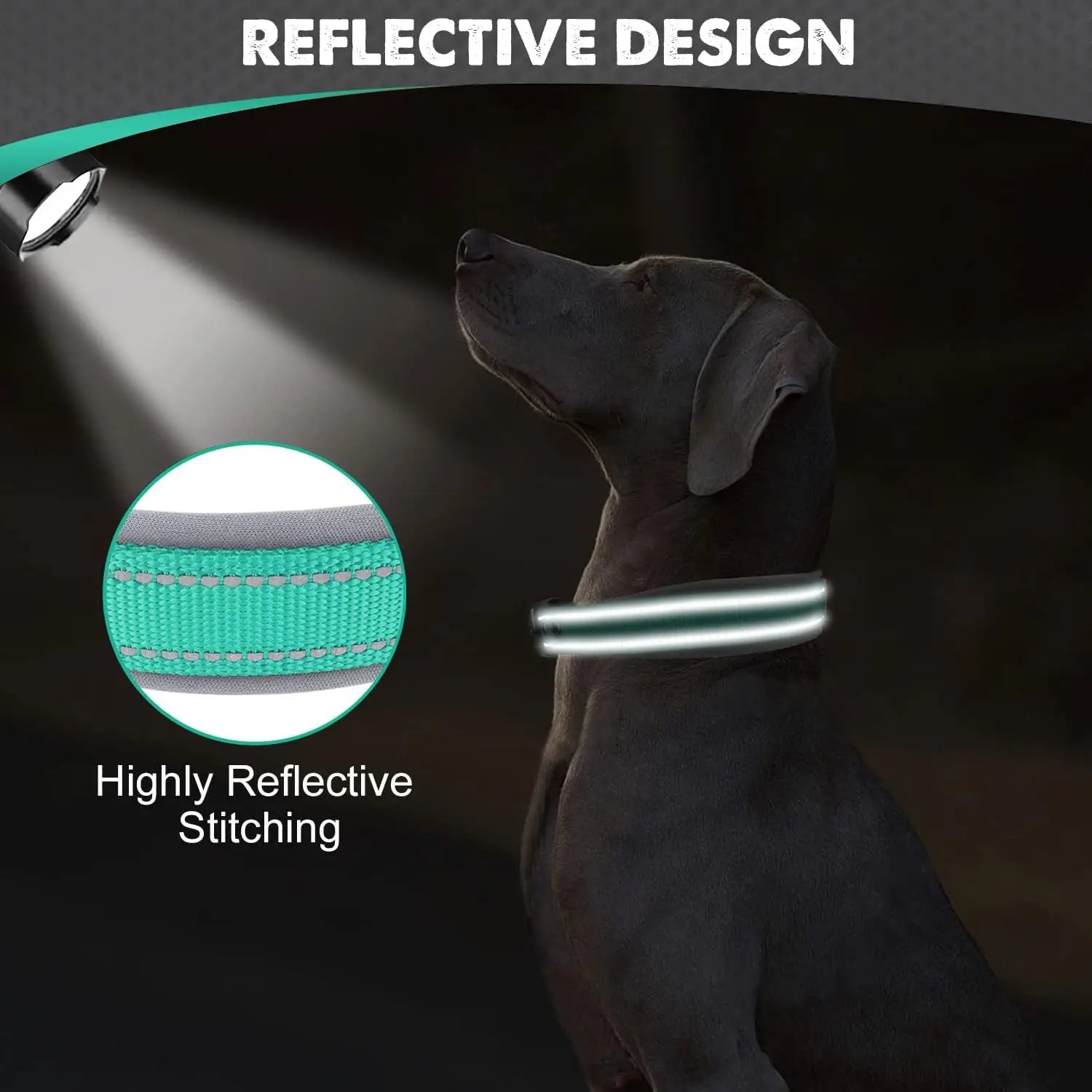 Padded Reflective Neoprene Dog Collar