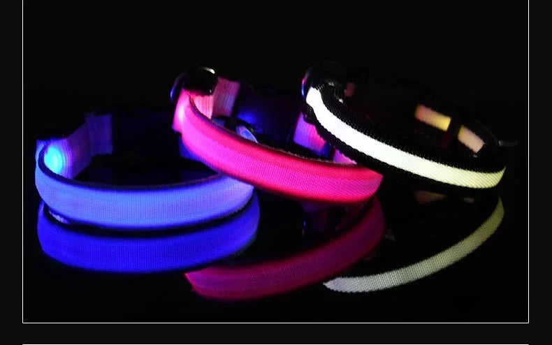 LED Nylon Dog Collar Night Safety Glow