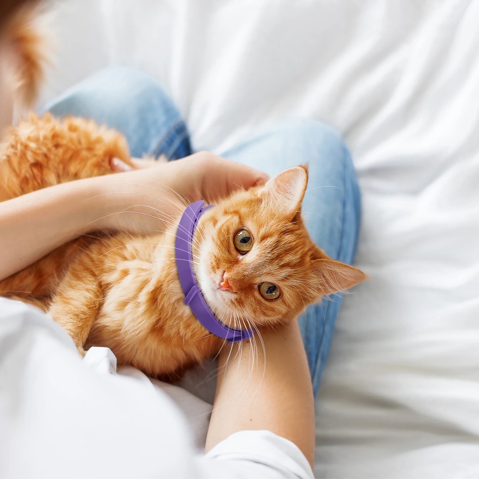 4PCS Adjustable Cat Calming Pheromone Collars