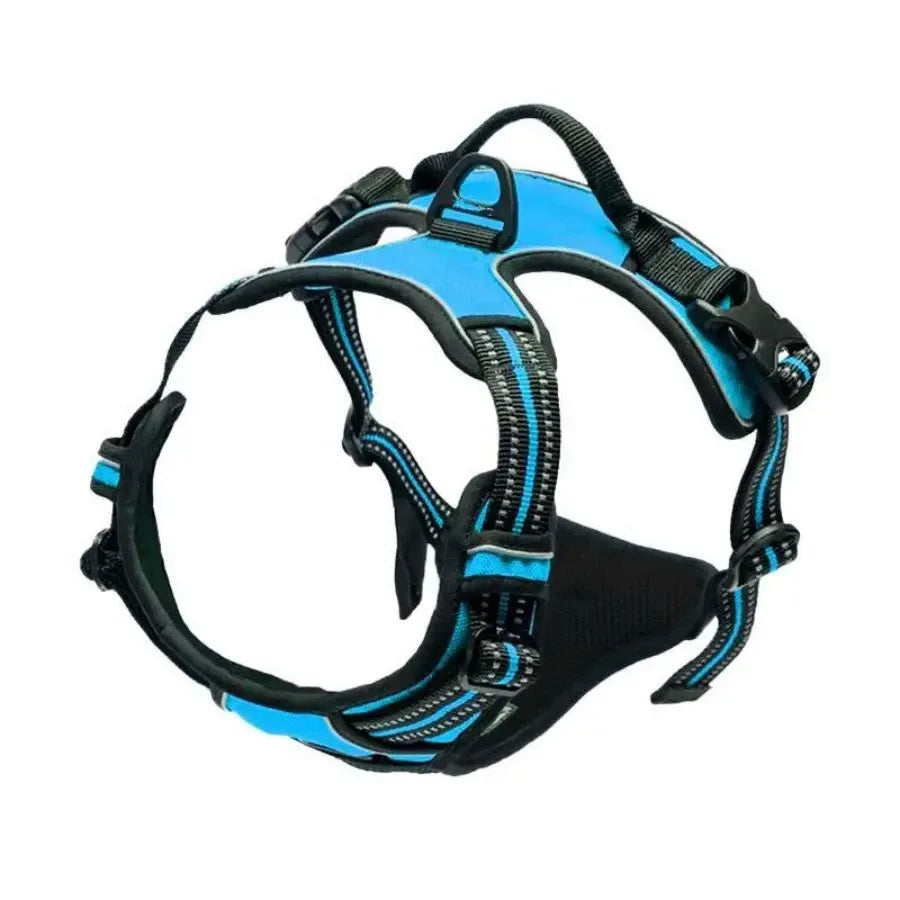 Dog Collar, Harness & Leash Set for Medium & Small Dogs