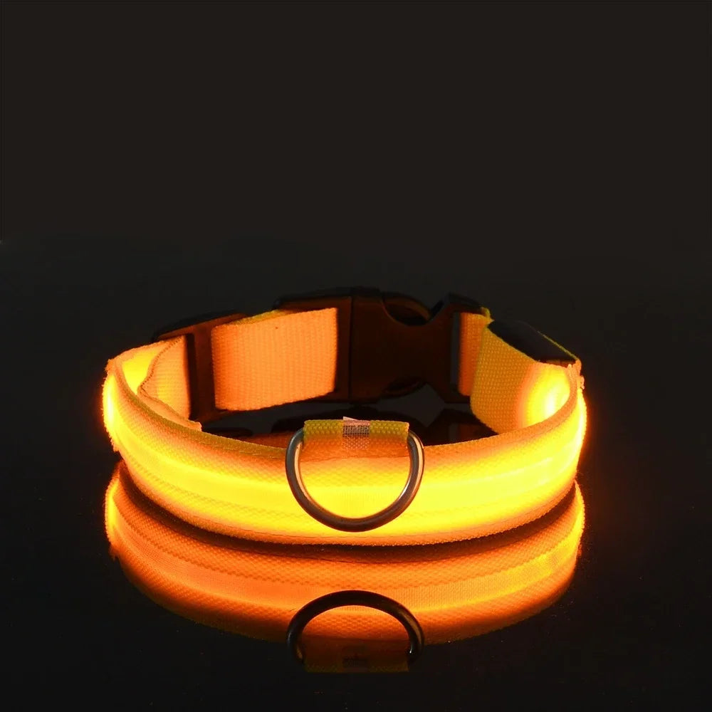 LED Nylon Dog Collar Night Safety Glow