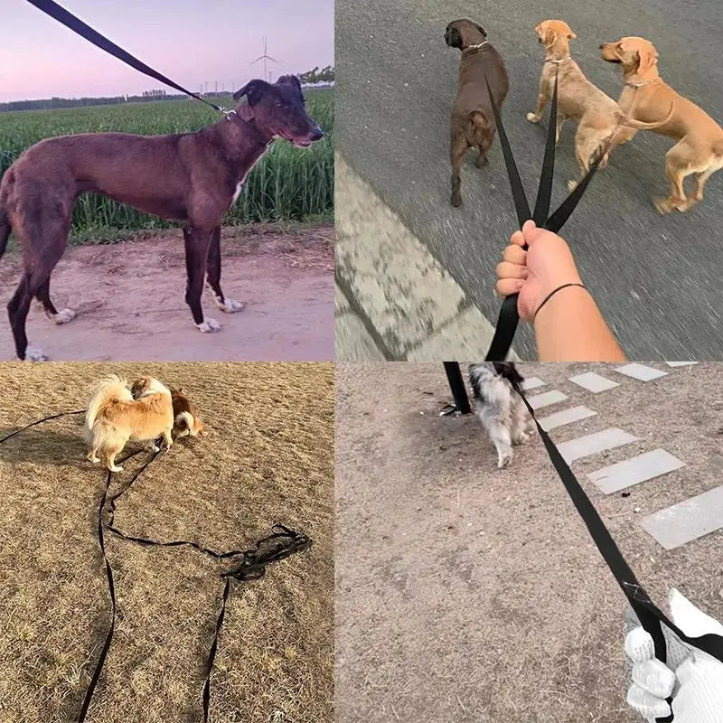 Long Nylon Dog Training Leash 10m–20m