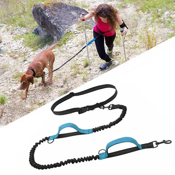 Outdoor Dual Elastic Reflective Dog Leash