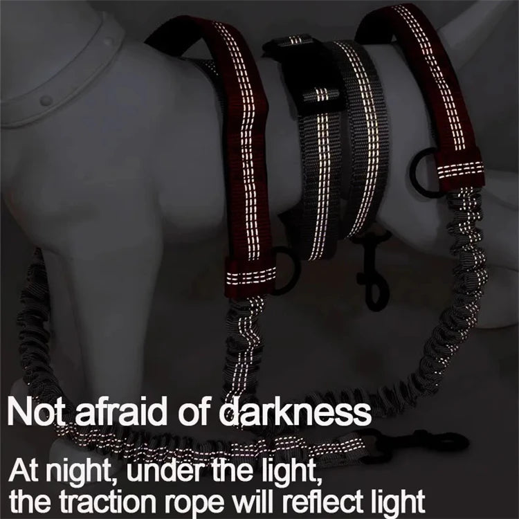 Outdoor Dual Elastic Reflective Dog Leash