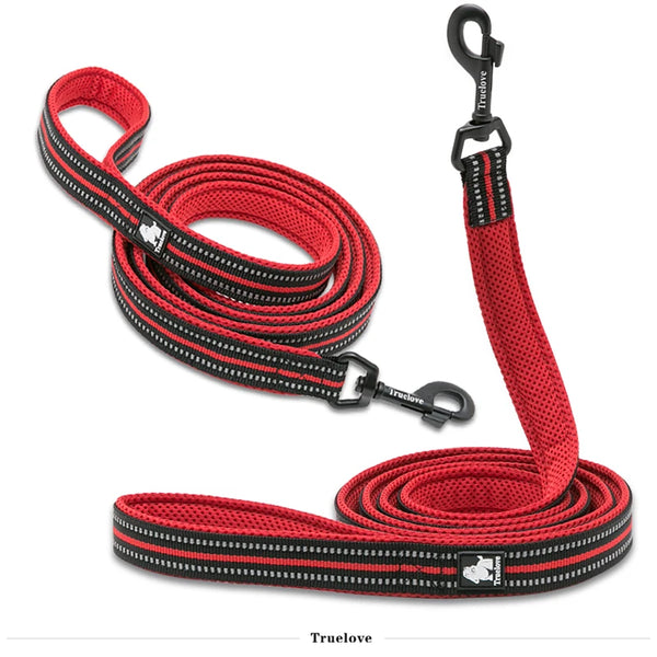 Truelove 200CM Pet Leash