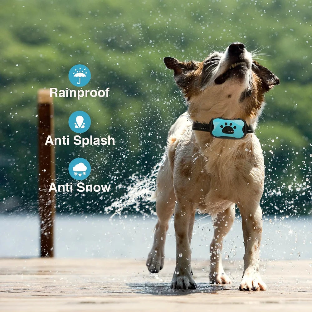 Waterproof USB Rechargeable Anti-Bark Dog Collar
