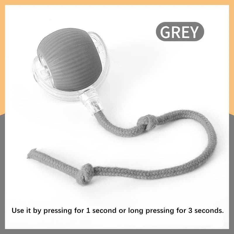 USB Rechargeable Interactive Smart Dog Ball