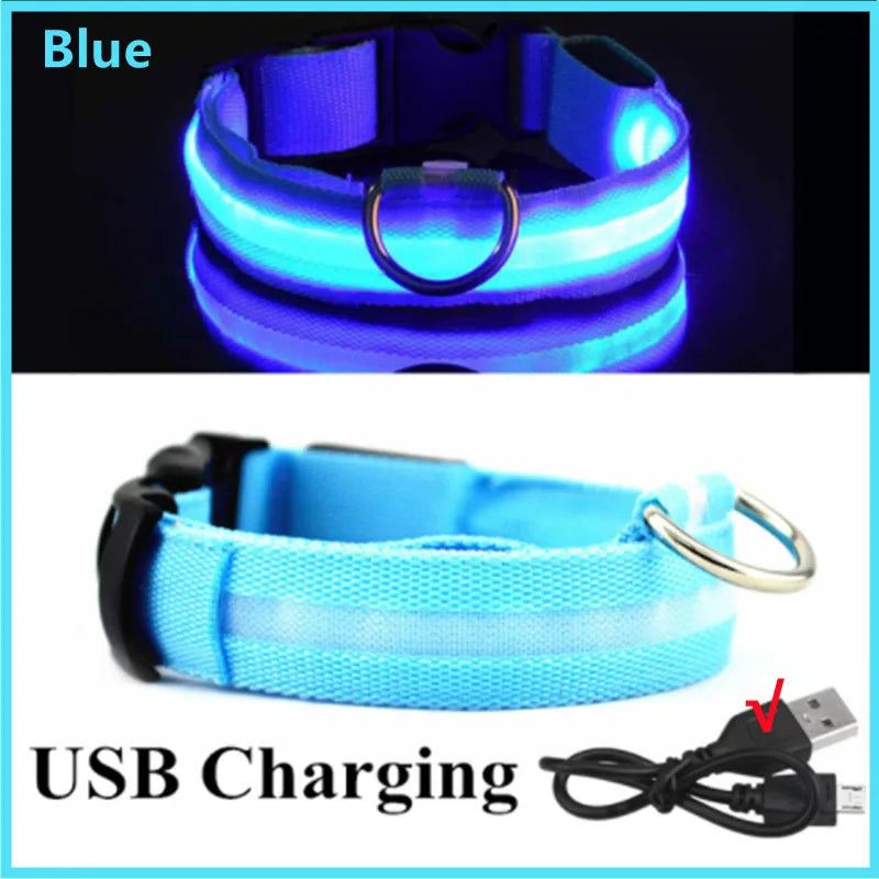 USB Rechargeable LED Pet Safety Collar