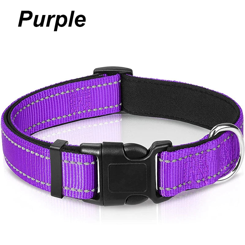 Reflective Neoprene Padded Dog Collar