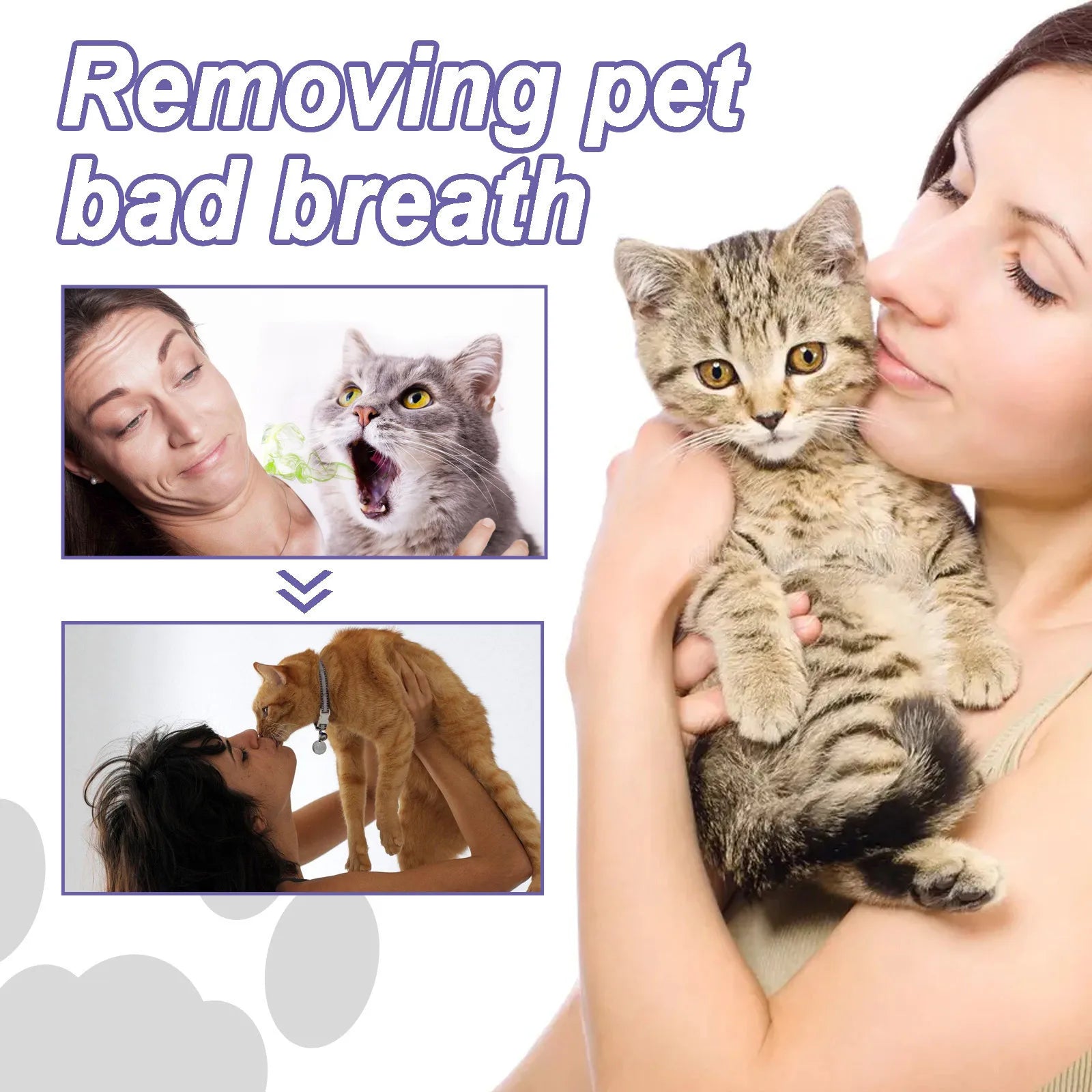3ml Pet Oral Gel for Teeth & Breath