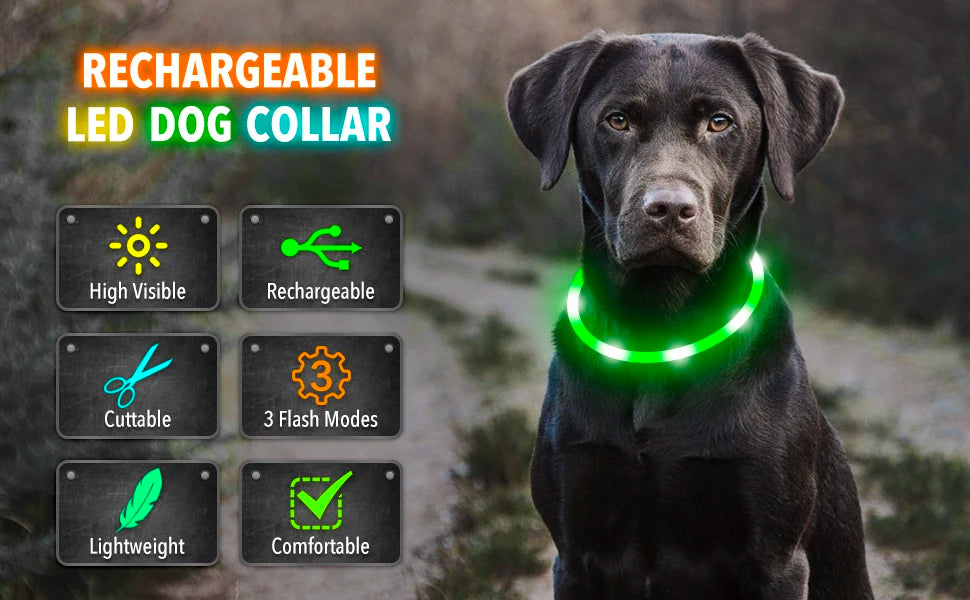 USB Rechargeable LED Pet Safety Collar