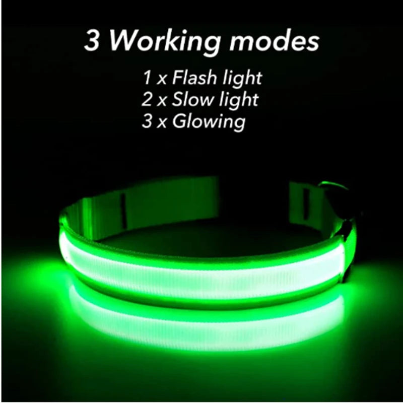 USB Rechargeable LED Pet Safety Collar