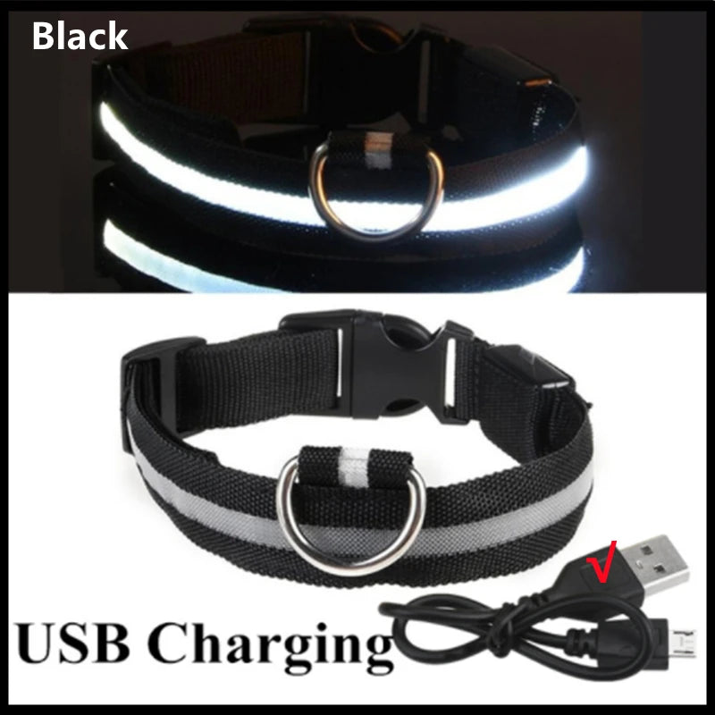 USB Rechargeable LED Pet Safety Collar