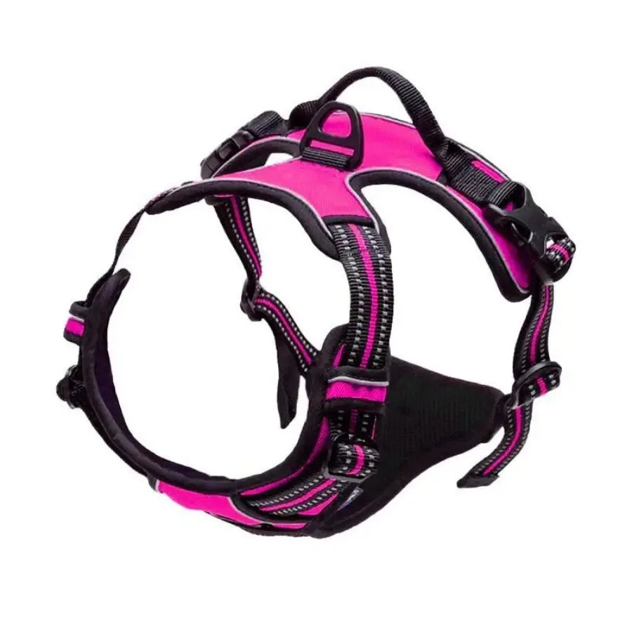 Dog Collar, Harness & Leash Set for Medium & Small Dogs
