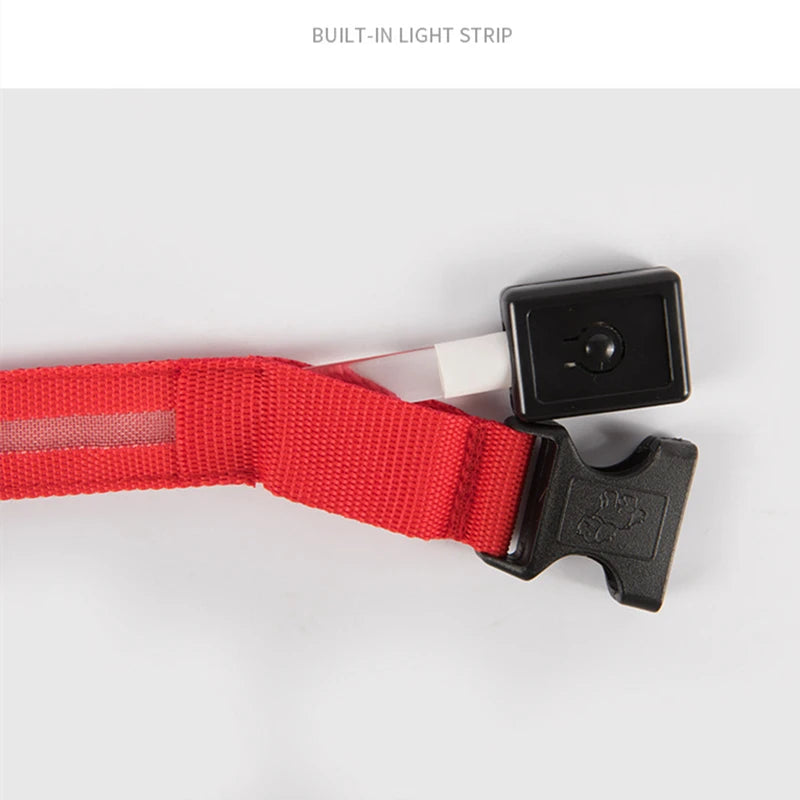 USB Rechargeable LED Pet Safety Collar