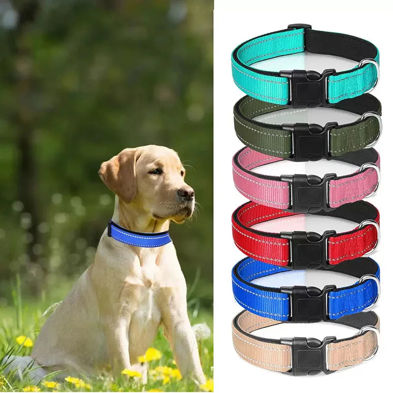 Reflective Neoprene Padded Dog Collar