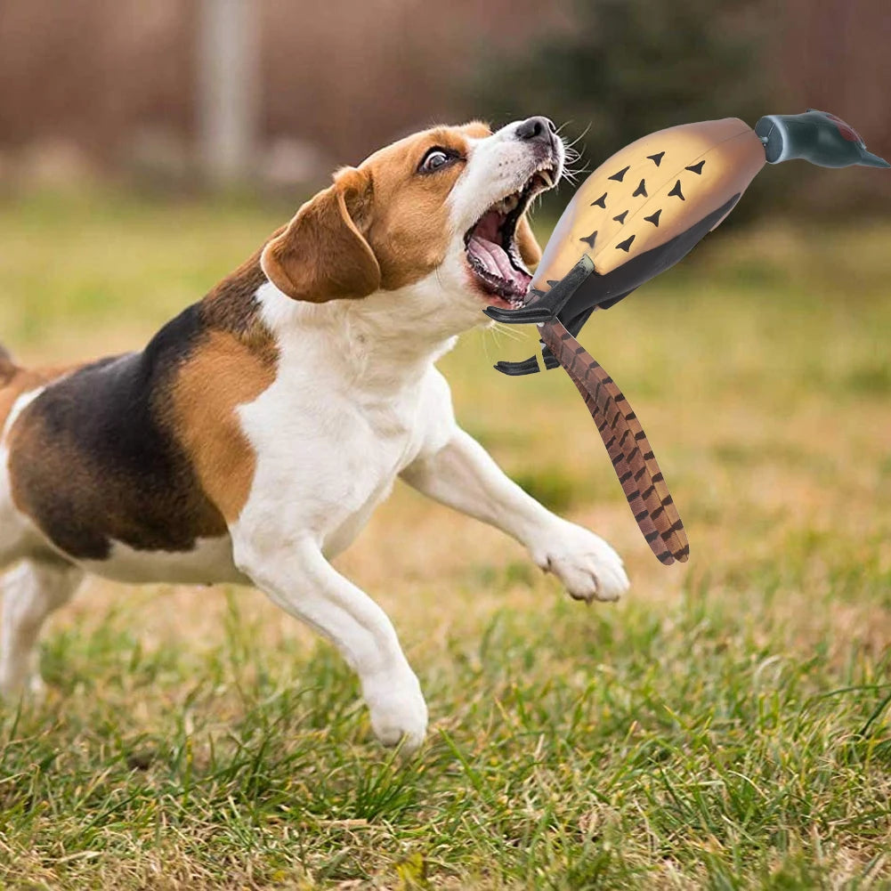 Multipurpose Dead Fowl Dog Training Toy
