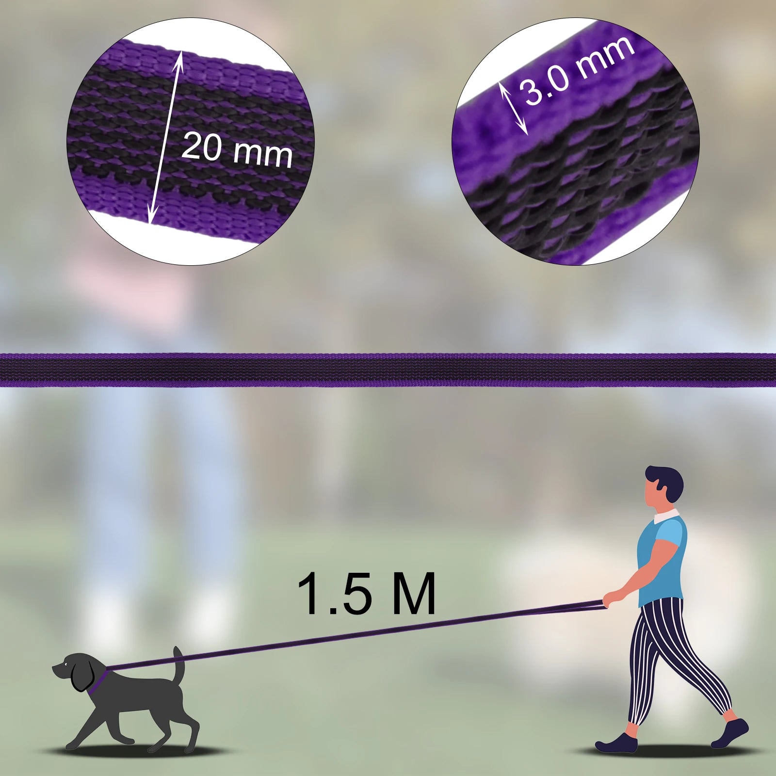 Dual-Color Latex Silk Dog Leash – Multiple Lengths