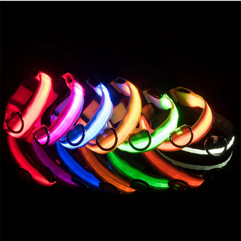 USB Rechargeable LED Pet Safety Collar