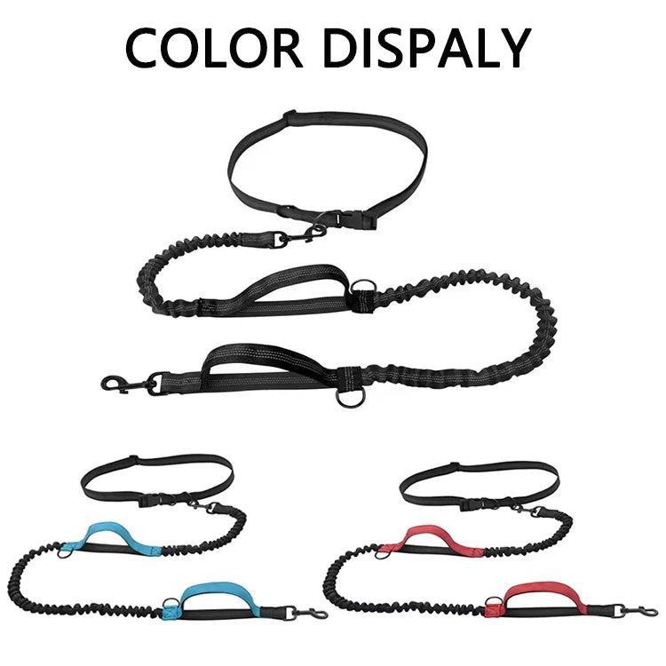 Outdoor Dual Elastic Reflective Dog Leash