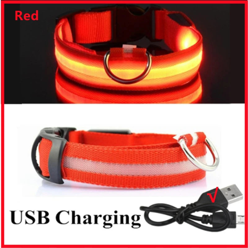 USB Rechargeable LED Pet Safety Collar