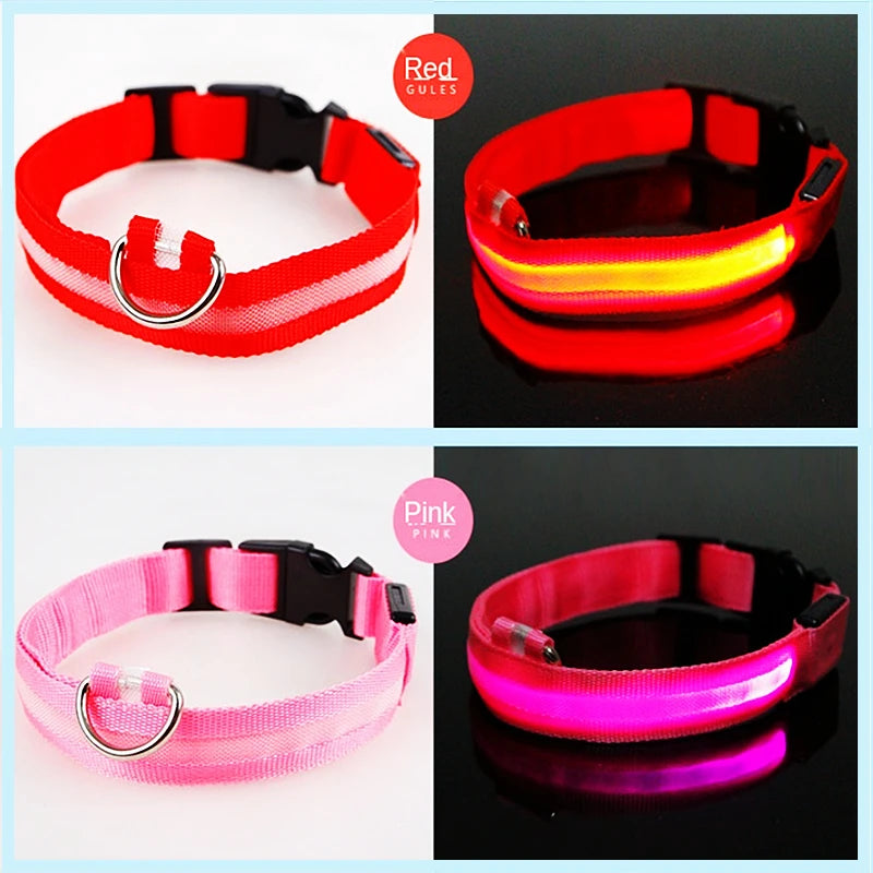 USB Rechargeable LED Pet Safety Collar