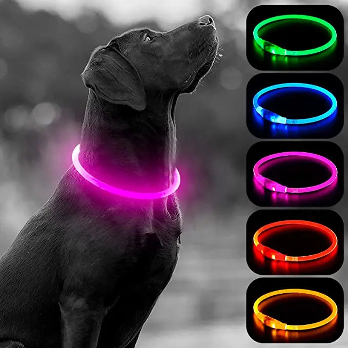 LED Rechargeable Glowing Pet Collar