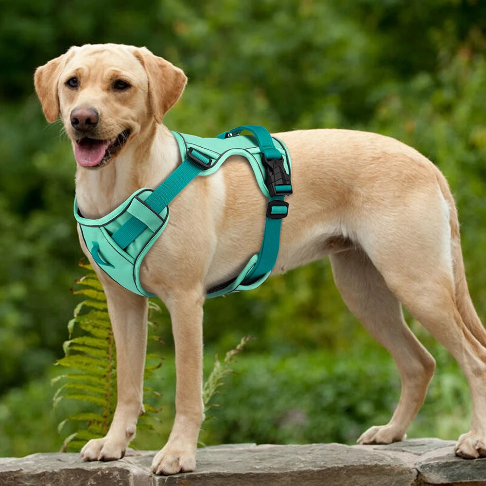 Mesh Breathable Reflective Dog Harness