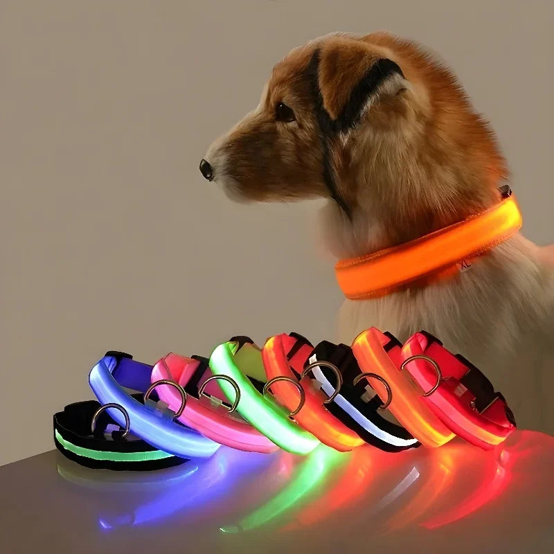 LED Nylon Dog Collar Night Safety Glow