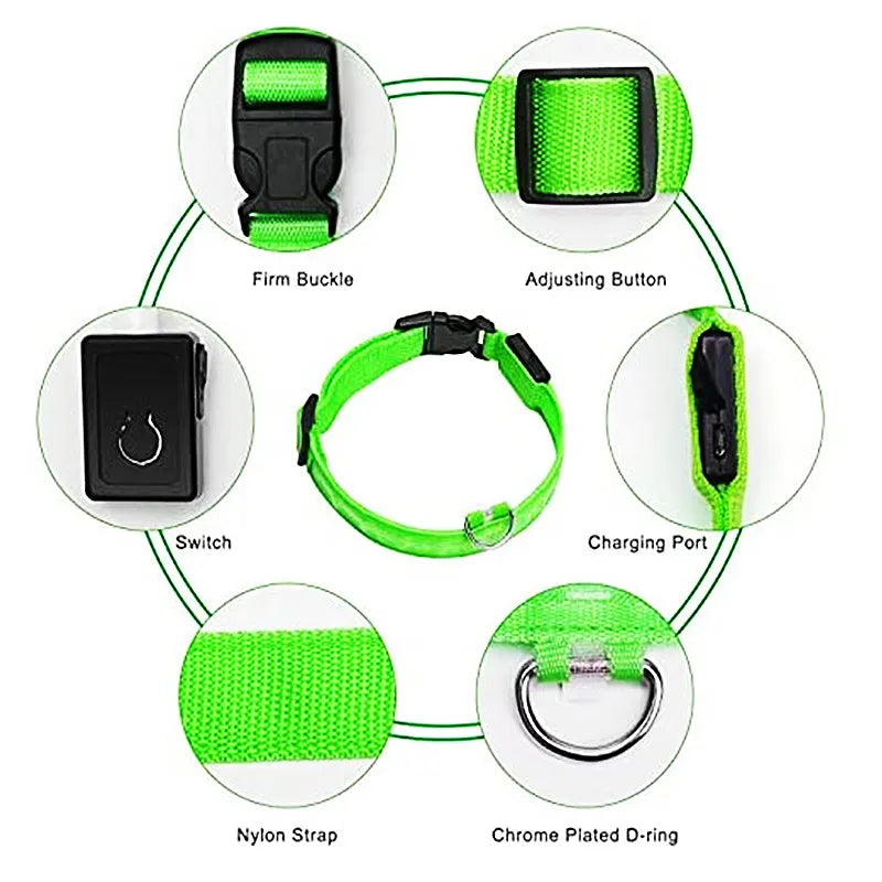 USB Rechargeable LED Pet Safety Collar