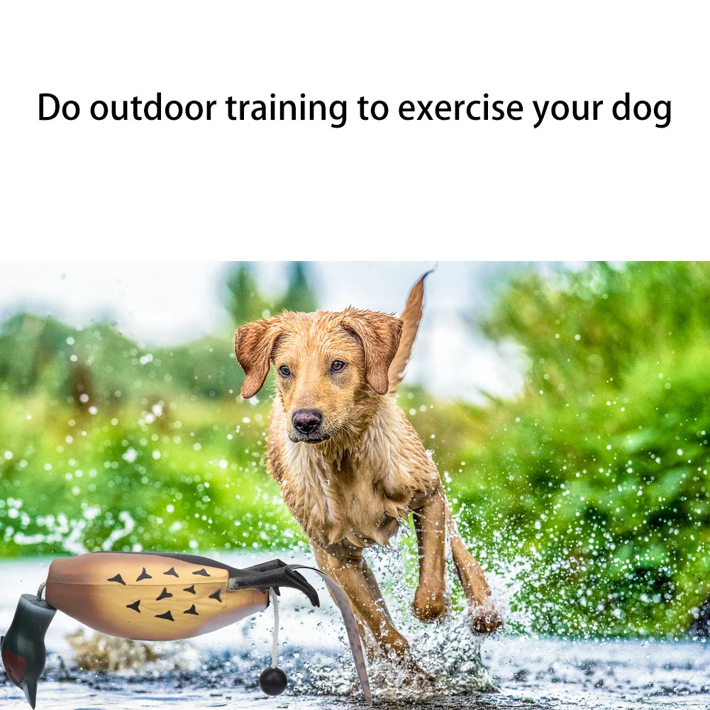 Multipurpose Dead Fowl Dog Training Toy