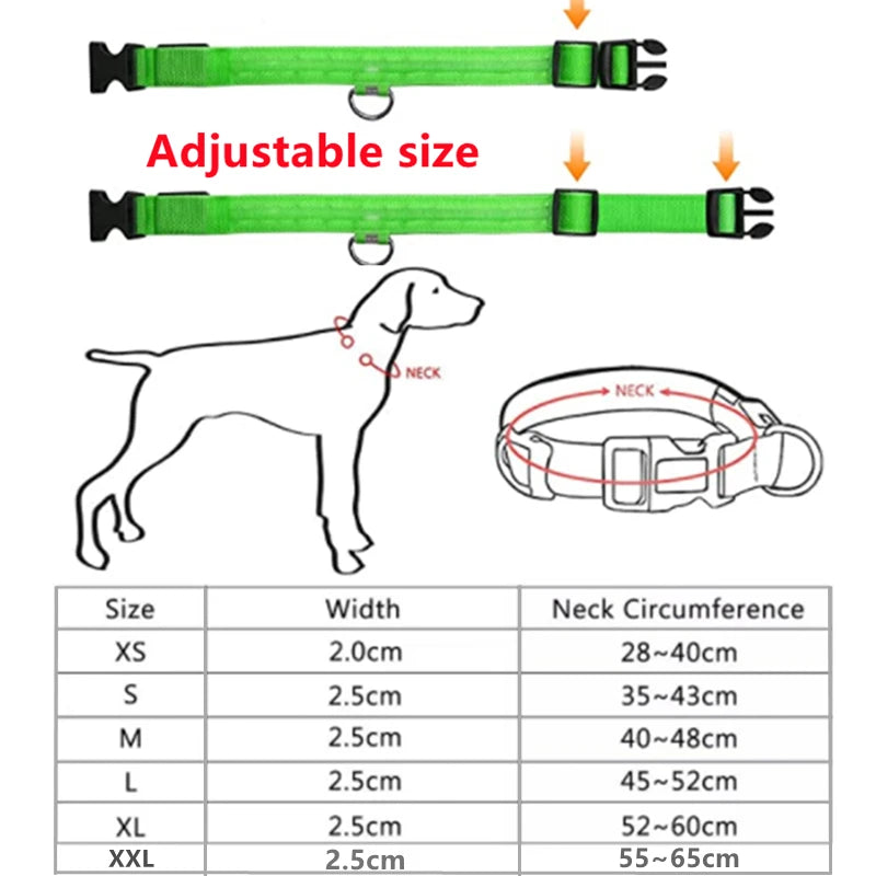 USB Rechargeable LED Pet Safety Collar