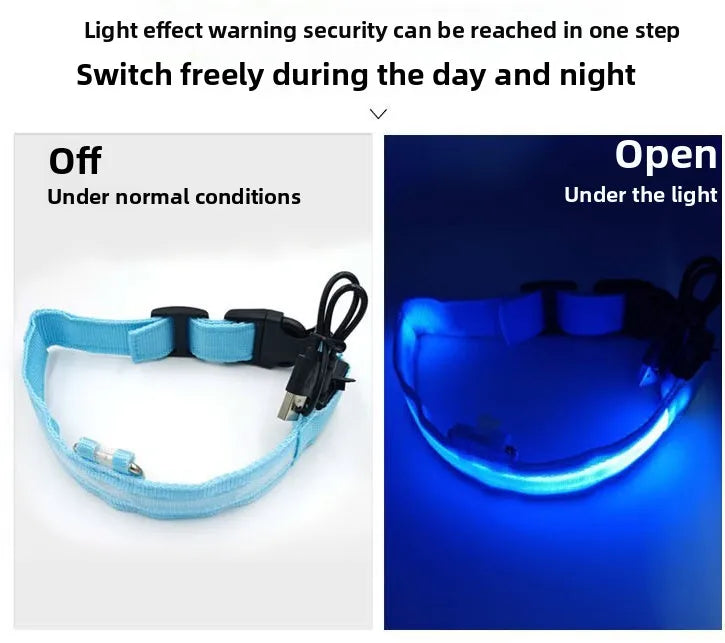 LED Nylon Dog Collar Night Safety Glow