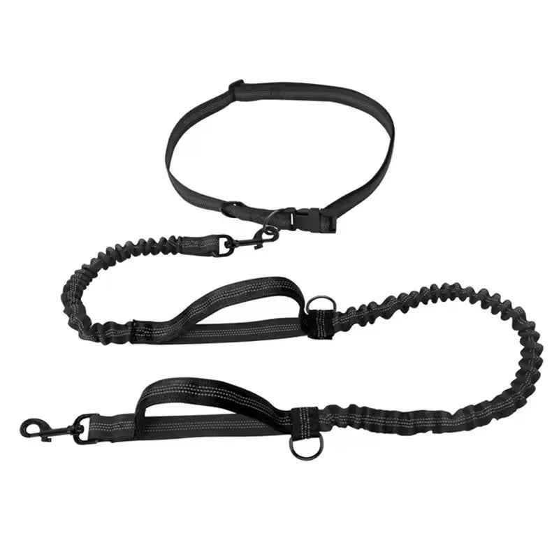 Outdoor Dual Elastic Reflective Dog Leash