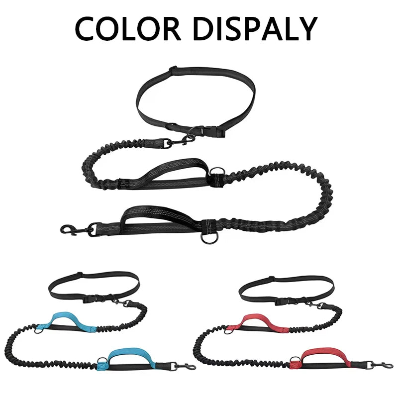 Outdoor Dual Elastic Reflective Dog Leash