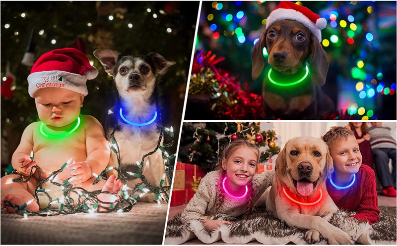 LED Rechargeable Glowing Pet Collar
