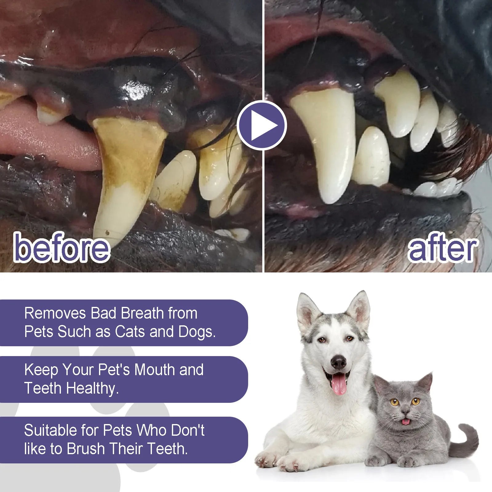 3ml Pet Oral Gel for Teeth & Breath